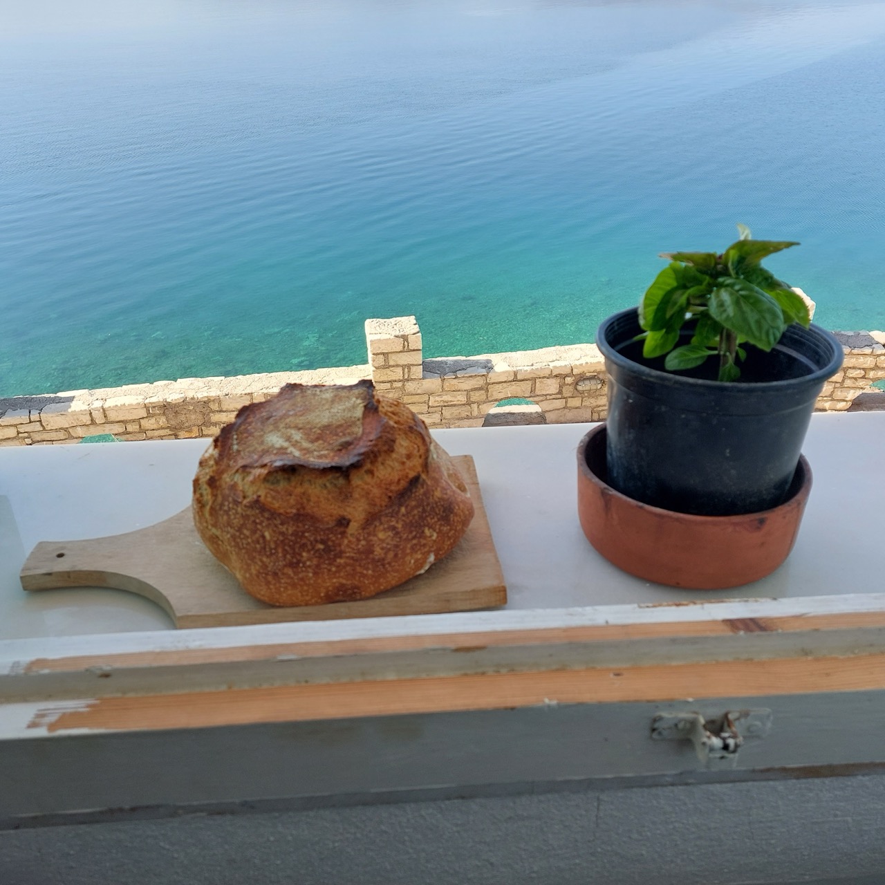 Sourdough loaf on a windowsill beside a basil plant