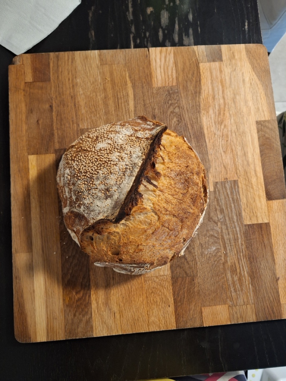 Top-down sourdough loaf with a clean ear and semolina dusting