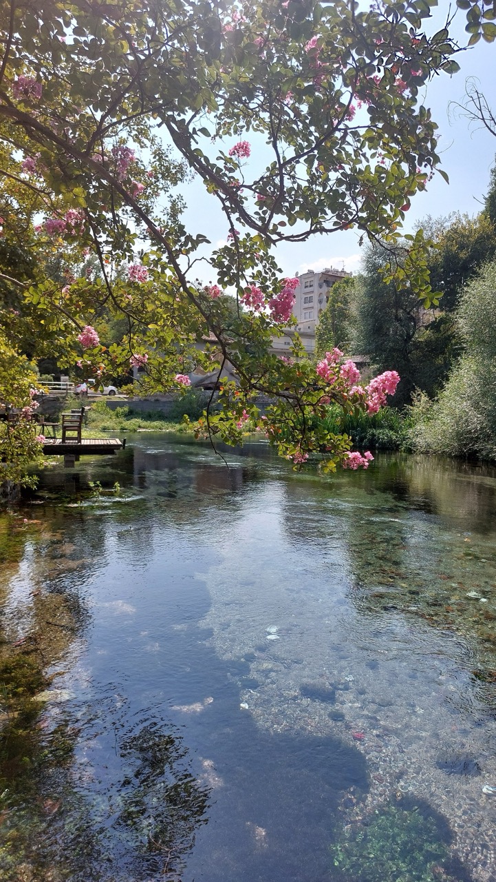 A view of a clear river at Agia Varvara Park framed by pink crape myrtle flowers overhanging from above, with an apartment building visible in the background