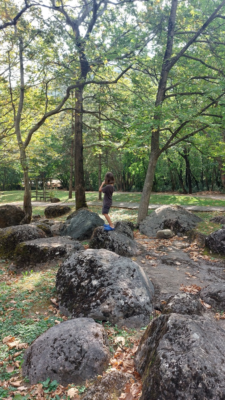 A child in a brown T-shirt standing on top of large moss-covered boulders in a shaded corner of the park, more boulders scattered around under leafy trees