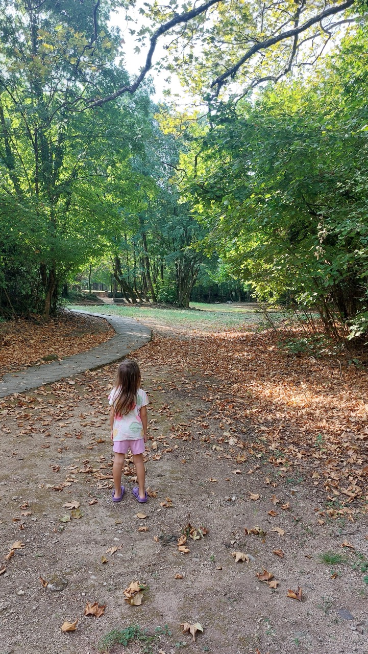 A child on a leaf-strewn dirt path winding through dense green woodland