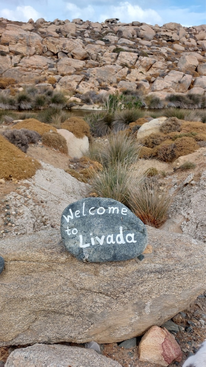 Painted stone reading Welcome to Livada, next to a tuft of dry grass on a Tinos hillside