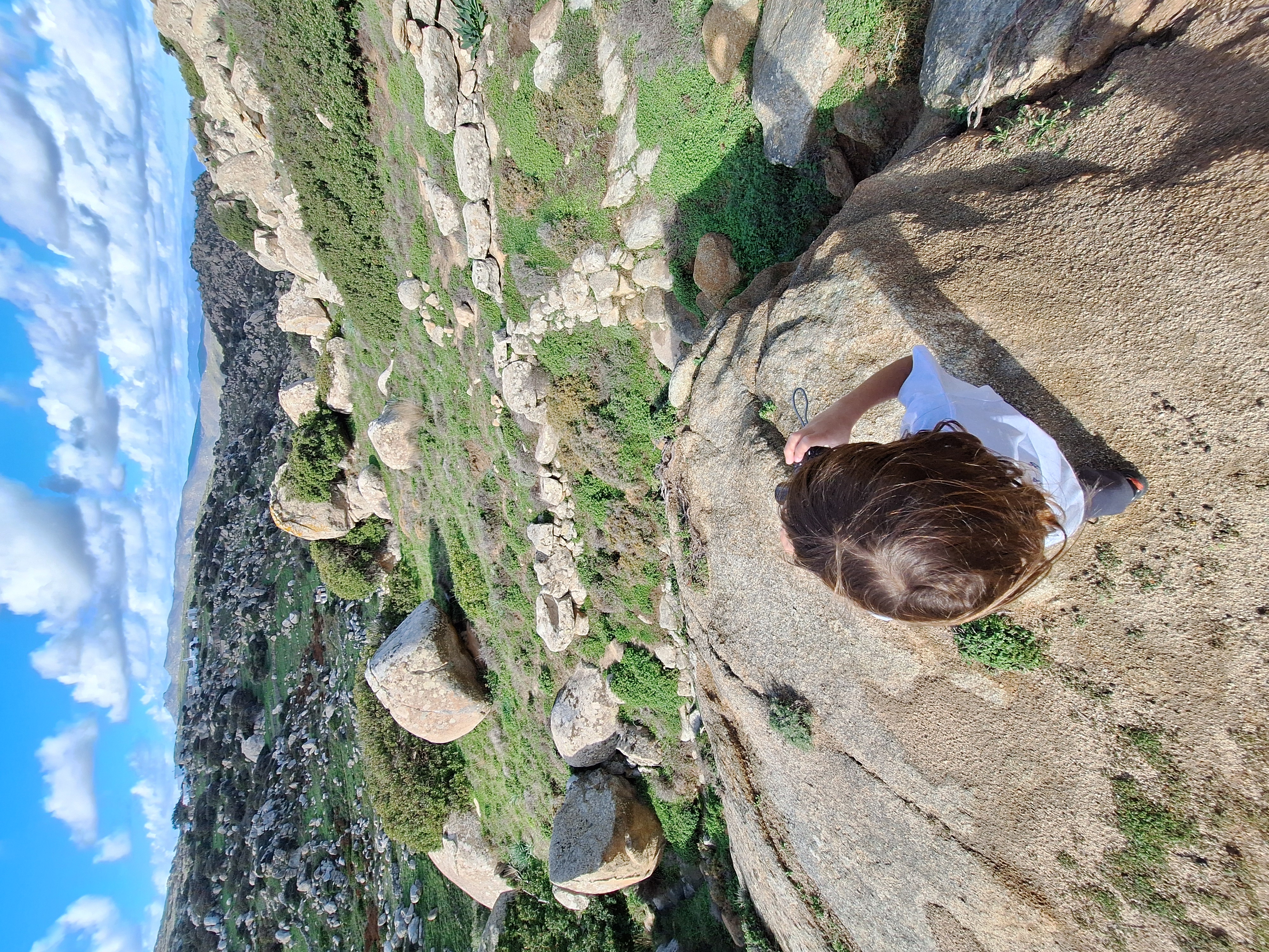 Cherry Blossoms in Tokyo