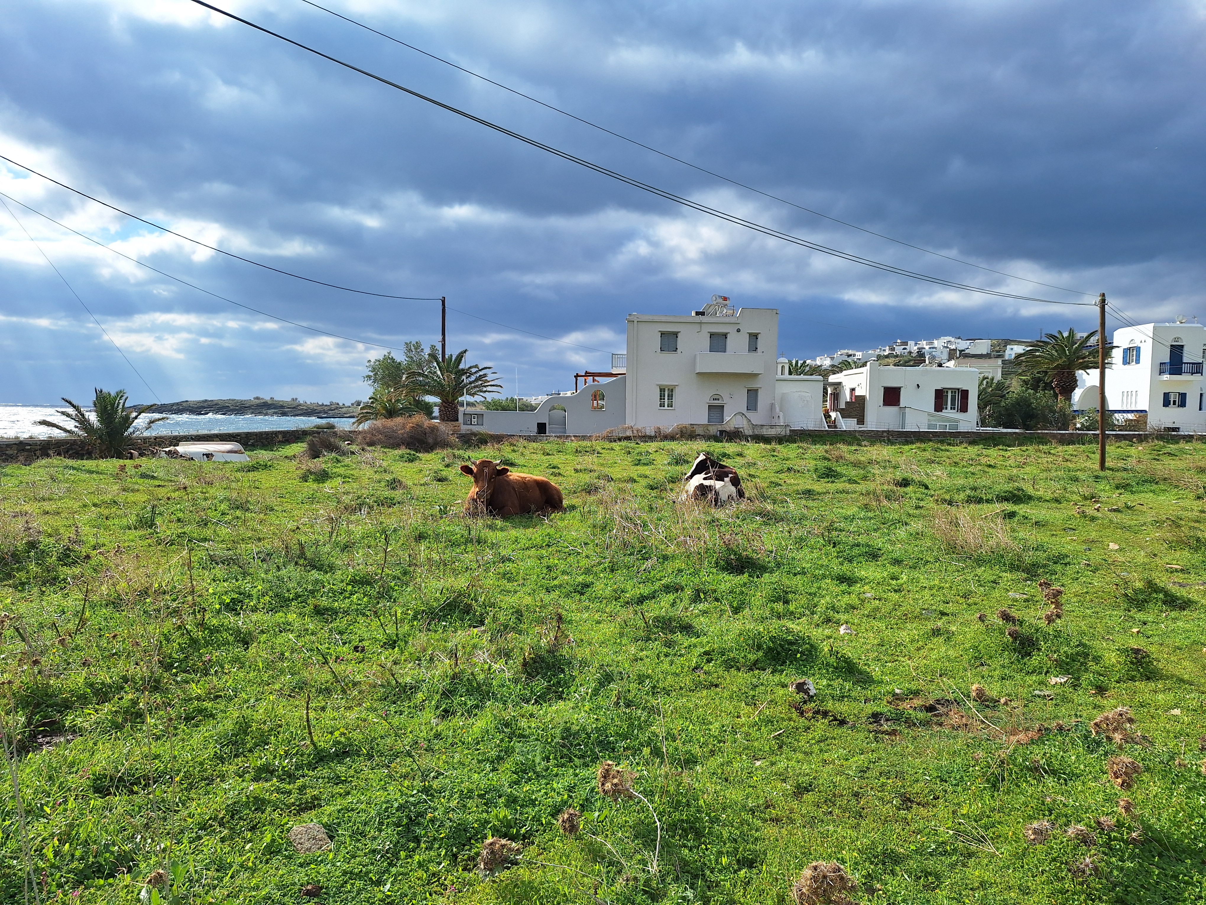 Yellowstone Adventure